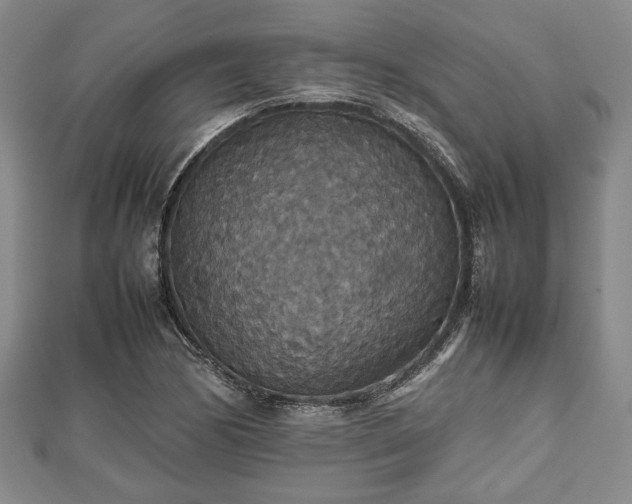 X0000112471170200908241226