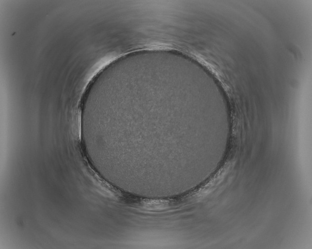 X0000112471171200908241226