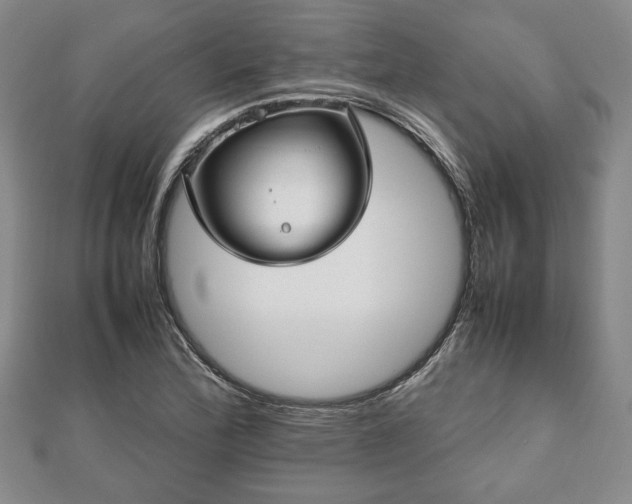 X0000112471172200908241226