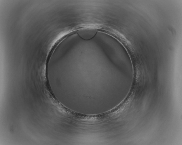 X0000112471174200908241226