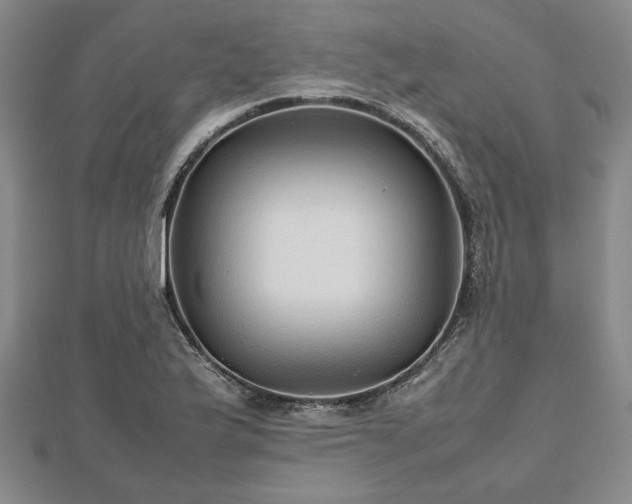 X0000112471175200908241226