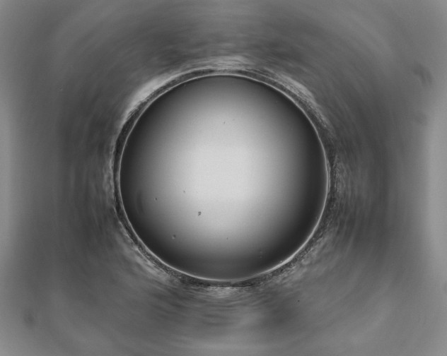 X0000112471176200908241226