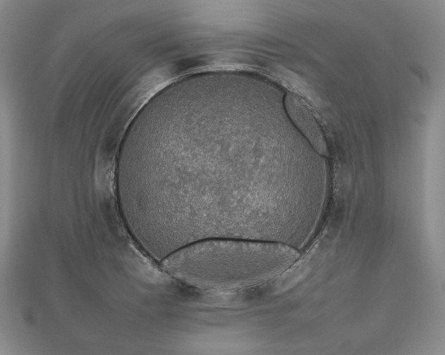 X0000112471177200908241226