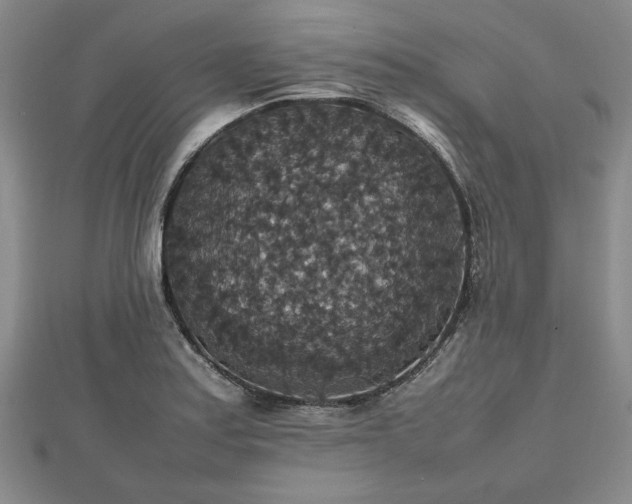 X0000112471179200908241226