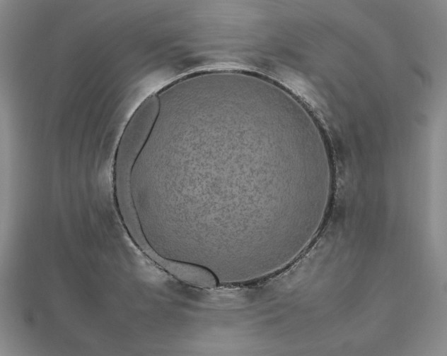 X0000112471181200908241226