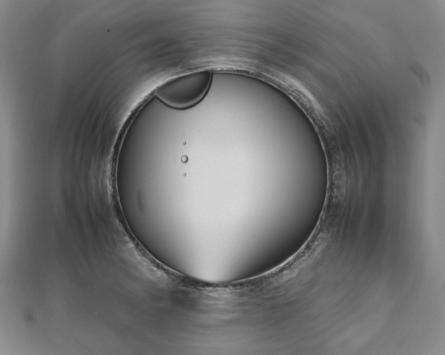 X0000112471182200908241226