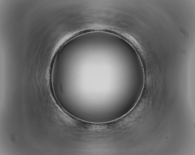 X0000112471183200908241226