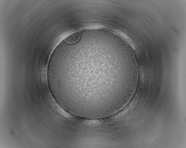 X0000112471186200908241226