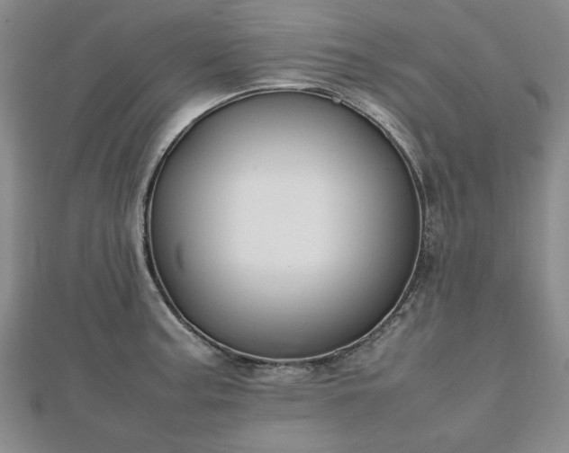 X0000112471187200908241226