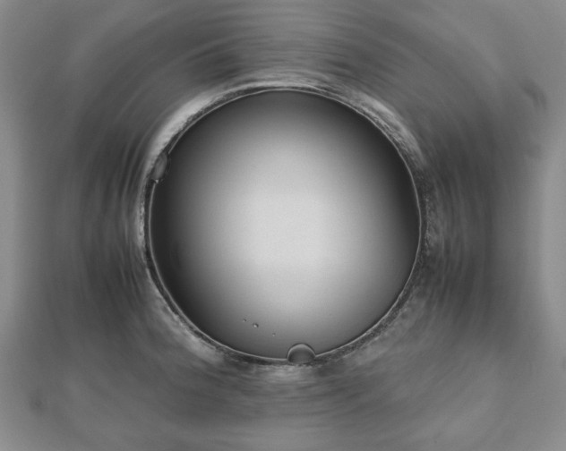 X0000112471188200908241226