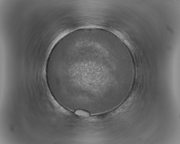 X0000112471189200908241226