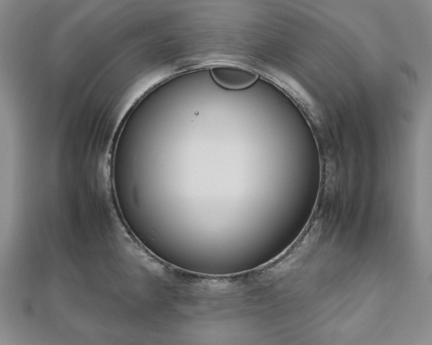 X0000112471190200908241226