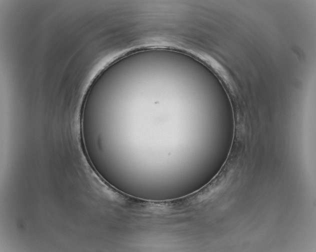 X0000112471191200908241226