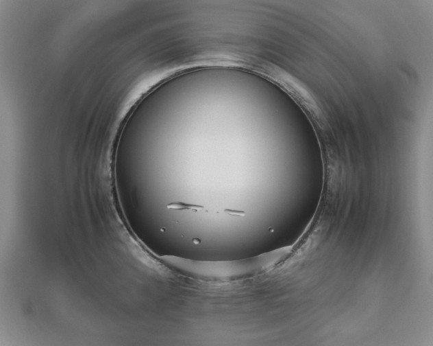 X0000112471192200908241226