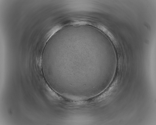 X0000112471193200908241226