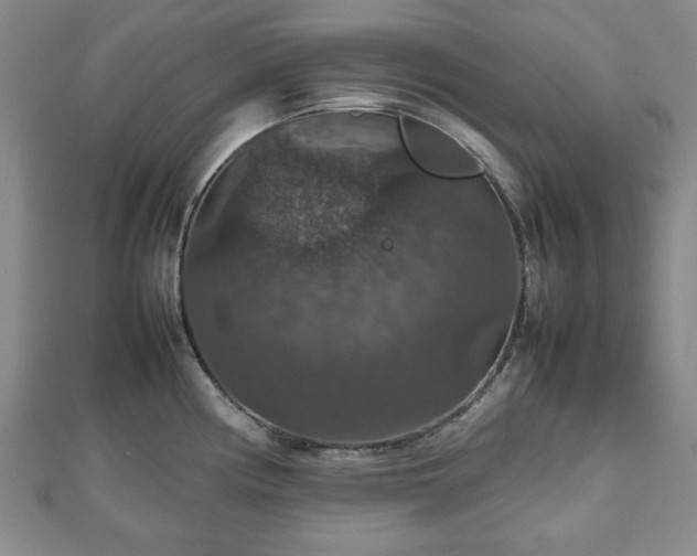 X0000112471194200908241226