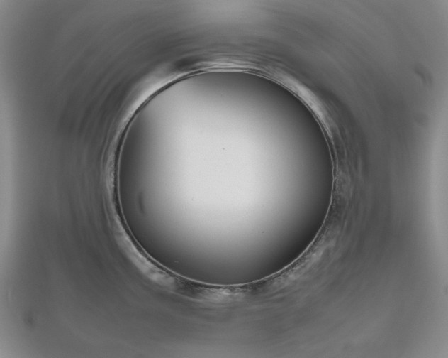 X0000112471195200908241226