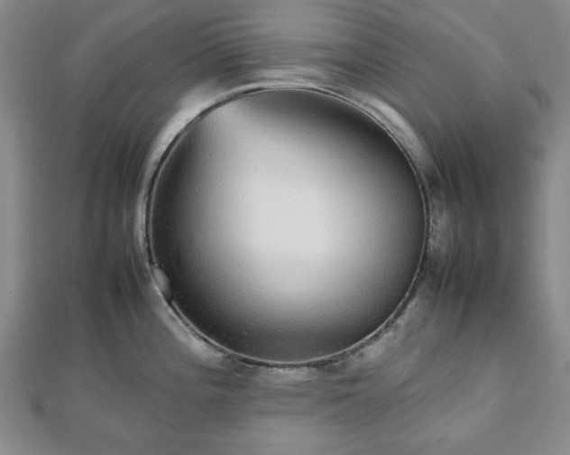 X0000112471196200908241226