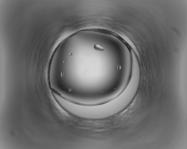 X0000112471197200908241226