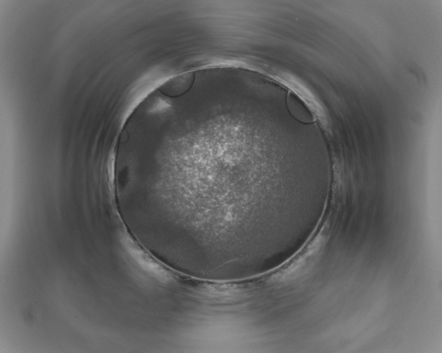 X0000112471198200908241226