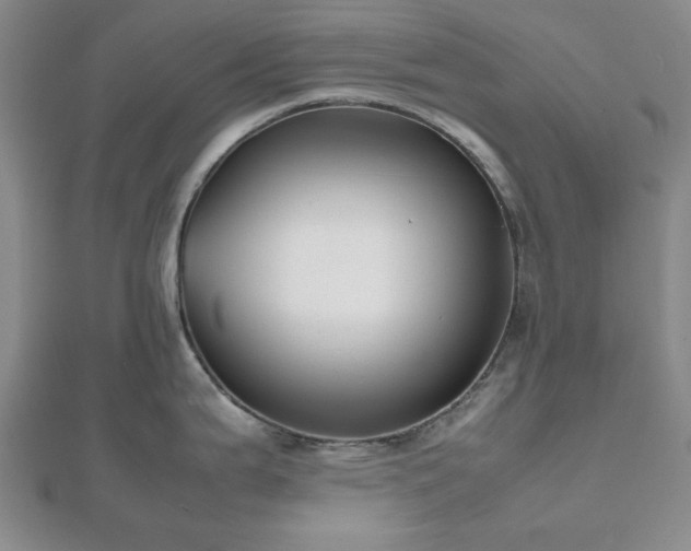 X0000112471199200908241226