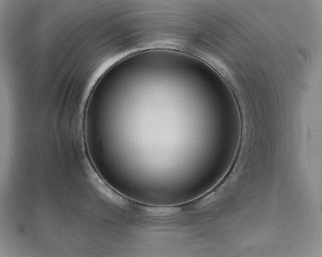 X0000112471200200908241226