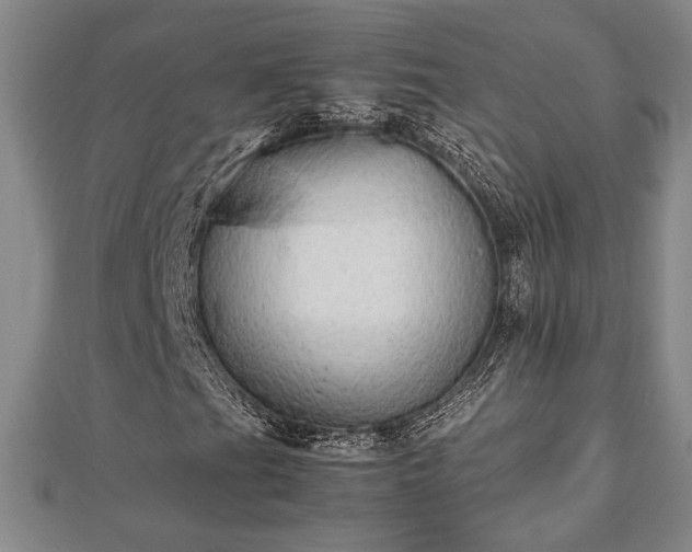 X0000112471201200908241225