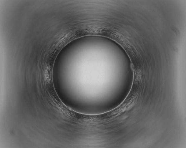 X0000112471202200908241225