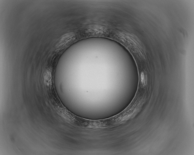 X0000112471203200908241225