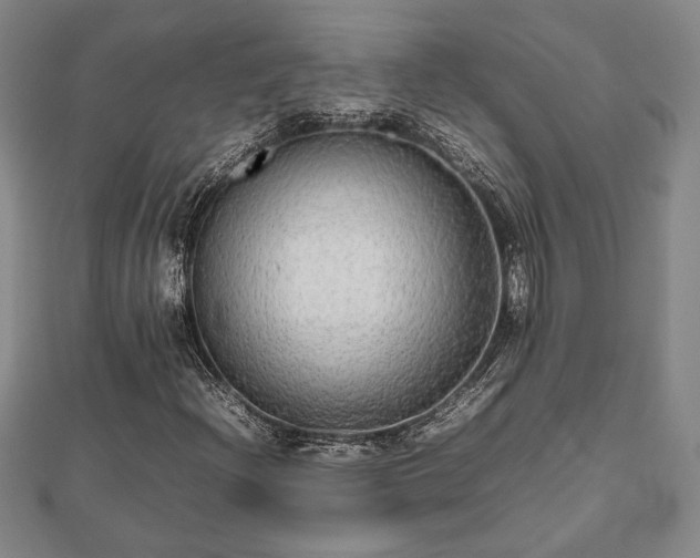 X0000112471204200908241225