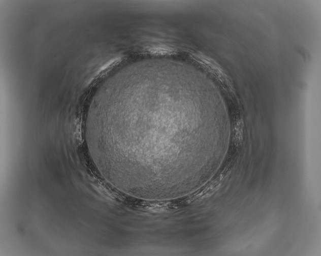 X0000112471205200908241225