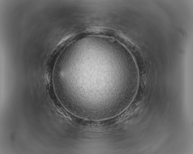 X0000112471206200908241225