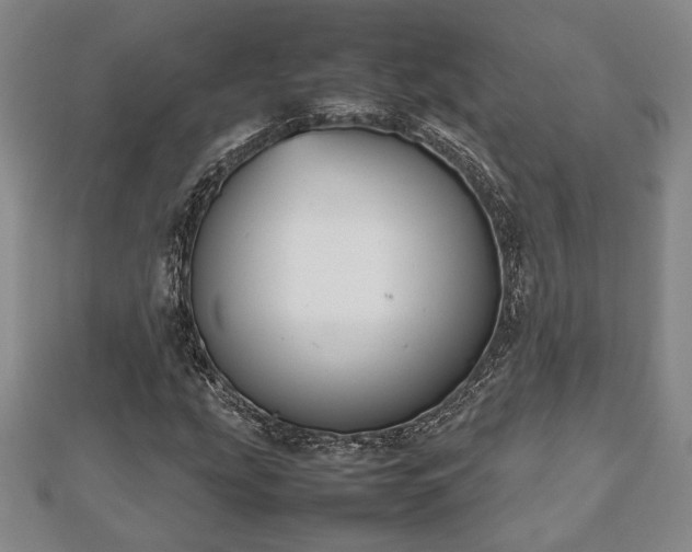 X0000112471207200908241225