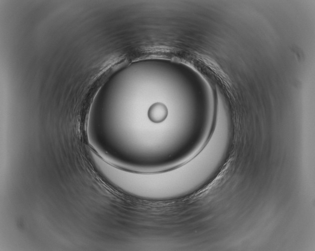 X0000112471209200908241226