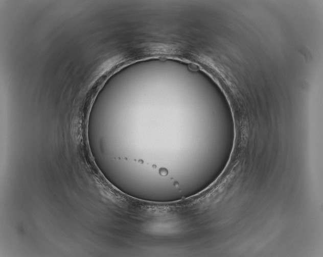 X0000112471211200908241226