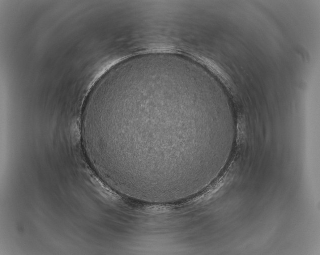 X0000112471212200908241226