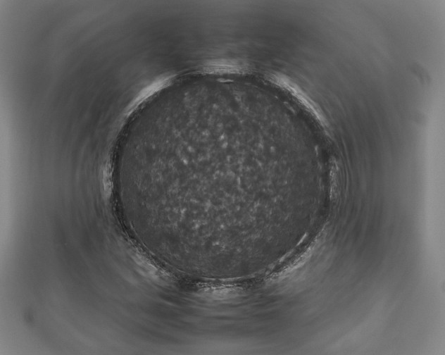 X0000112471213200908241226