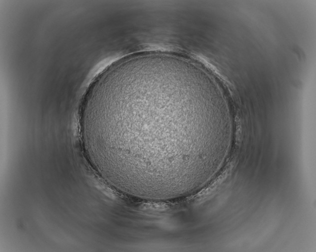 X0000112471215200908241226