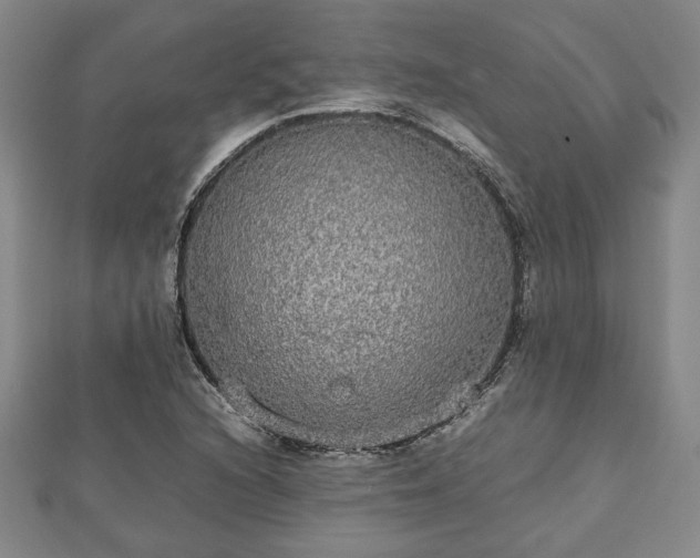 X0000112471216200908241226