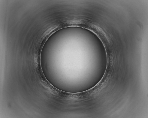 X0000112471217200908241226