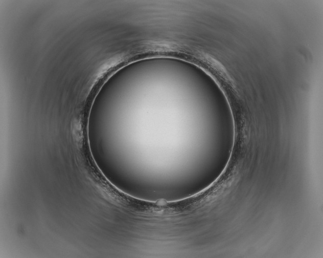 X0000112471218200908241226