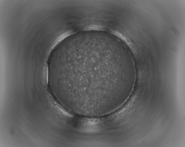 X0000112471219200908241226