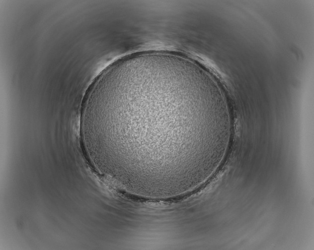 X0000112471220200908241226