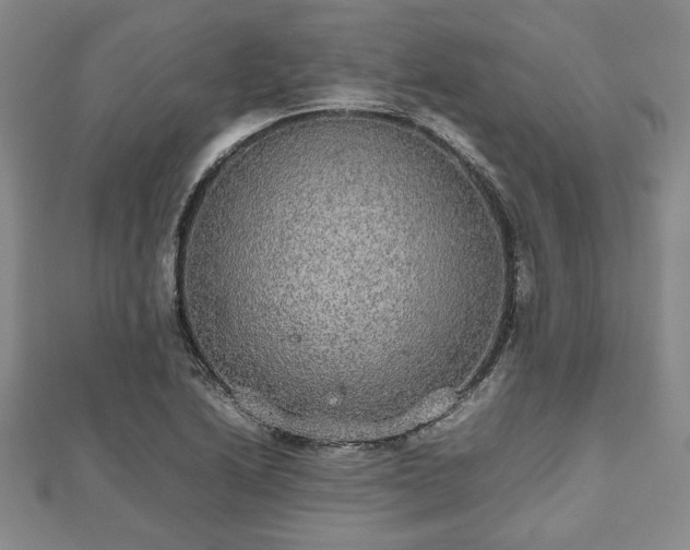 X0000112471222200908241226