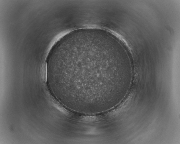 X0000112471223200908241226