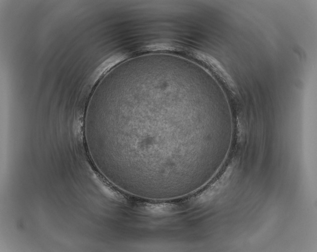 X0000112471225200908241226