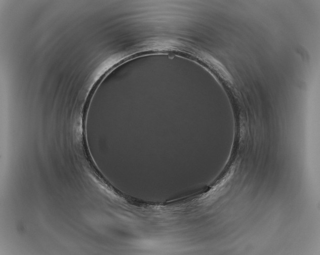 X0000112471226200908241226