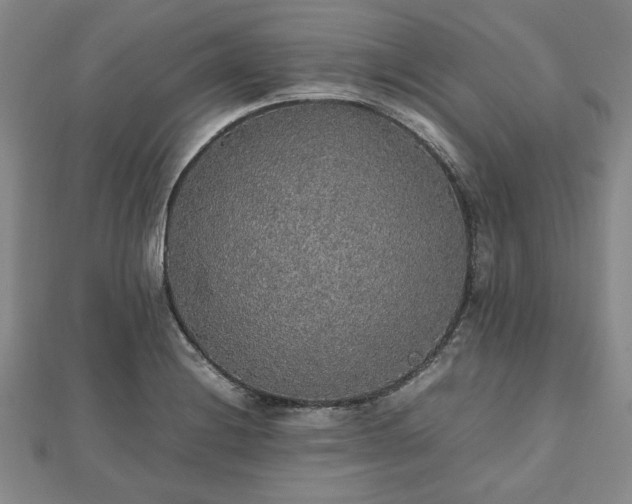 X0000112471228200908241226