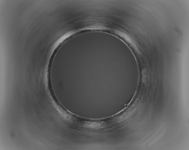 X0000112471229200908241226