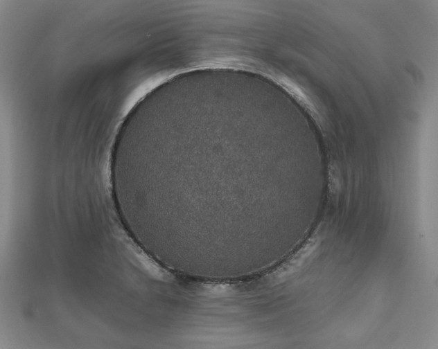 X0000112471230200908241226